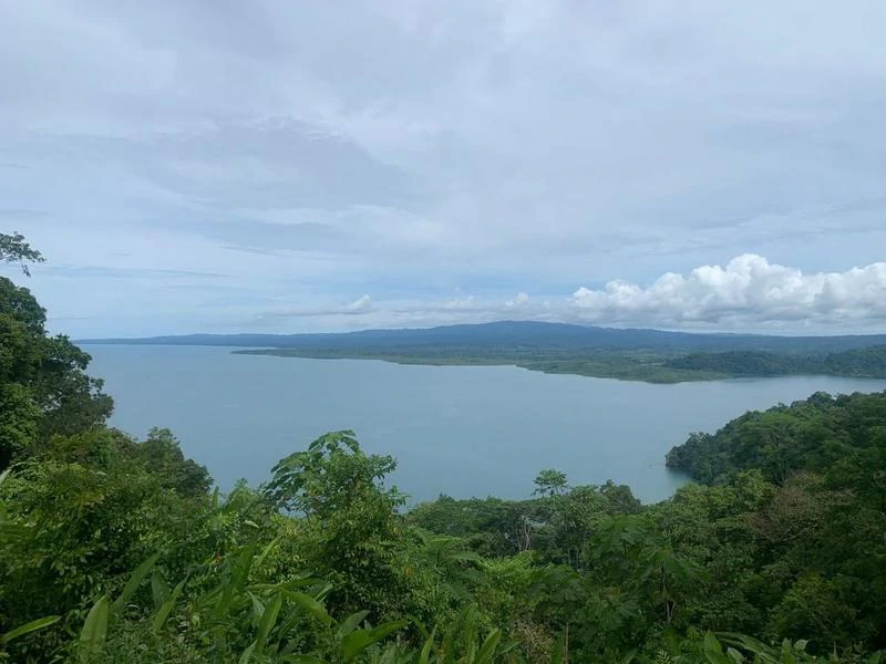 Biological Private Reserve OSA PULCRA