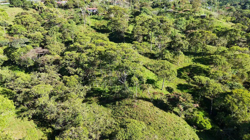 Lote frente a RISE: Mountain Agricultural Land For Sale in El General - Gallery image 5