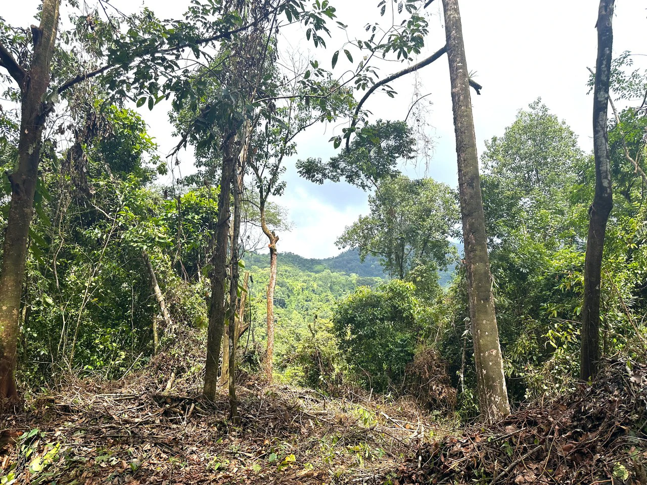Mountain View Building Lot in Prestigious Gated Community With Private Waterfall & Two Building Sites: Mountain Home Construction Site For Sale in Portalon - Gallery image 22