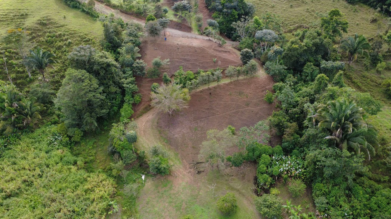 SUSTAINABLE PROPERTY FOR SALE IN THE PRIVACY OF PÉREZ ZELEDÓN, ROSARIO DE PACUAR - Gallery image 10