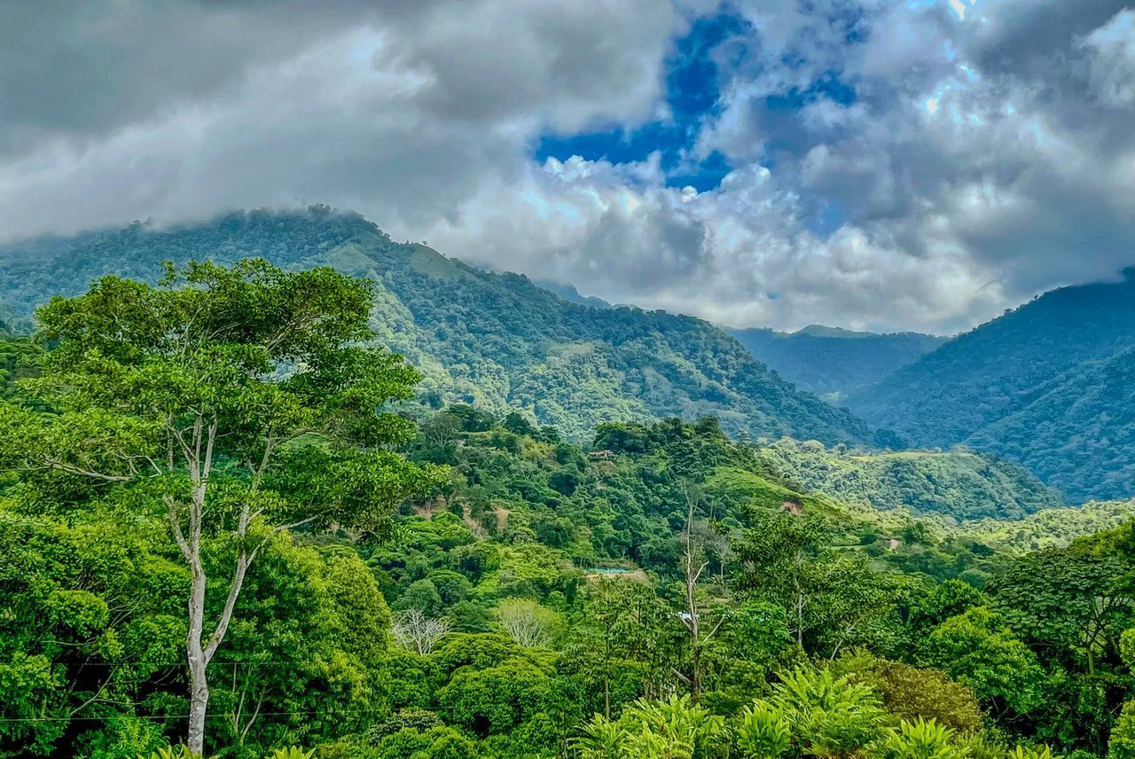 1.32 ACRES- Spectacular Ocean View In Tres Rios, Large Building Site, Legal Water And Electricity, Ready To Build & Close to Beaches!! - Gallery image 11