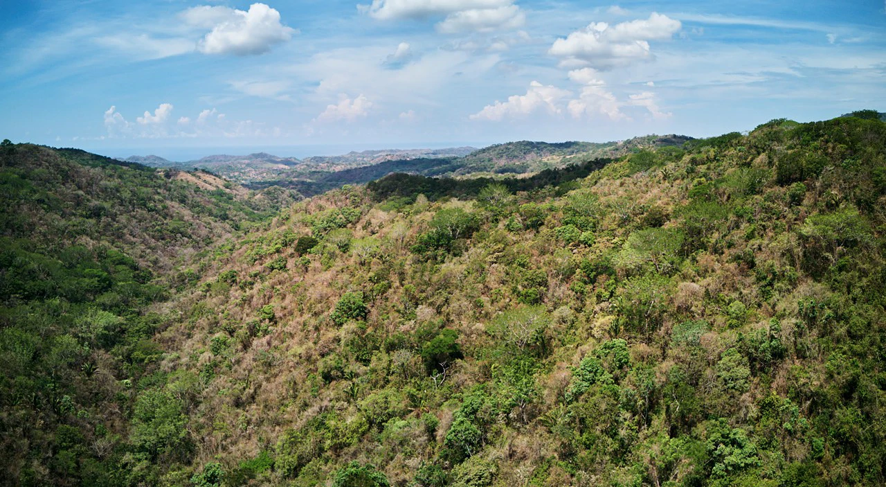 Finca Gomez: 214 Hectares | Ocean Views, Rivers & Development Potential – Guanacaste - Gallery image 2