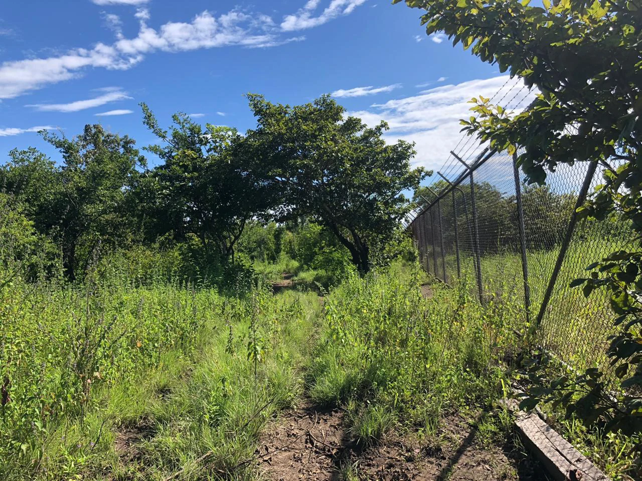 Great investment opportunity, property adjacent to Liberia Airport - Gallery image 23