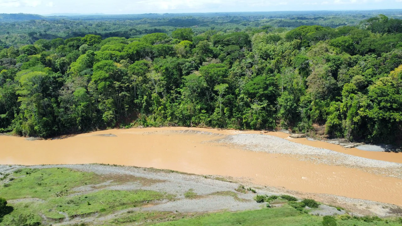 7-Hectare Farm with Teak Plantation, Existing Home & Eco-Development Potential Near Parrita, Costa Rica - Gallery image 5