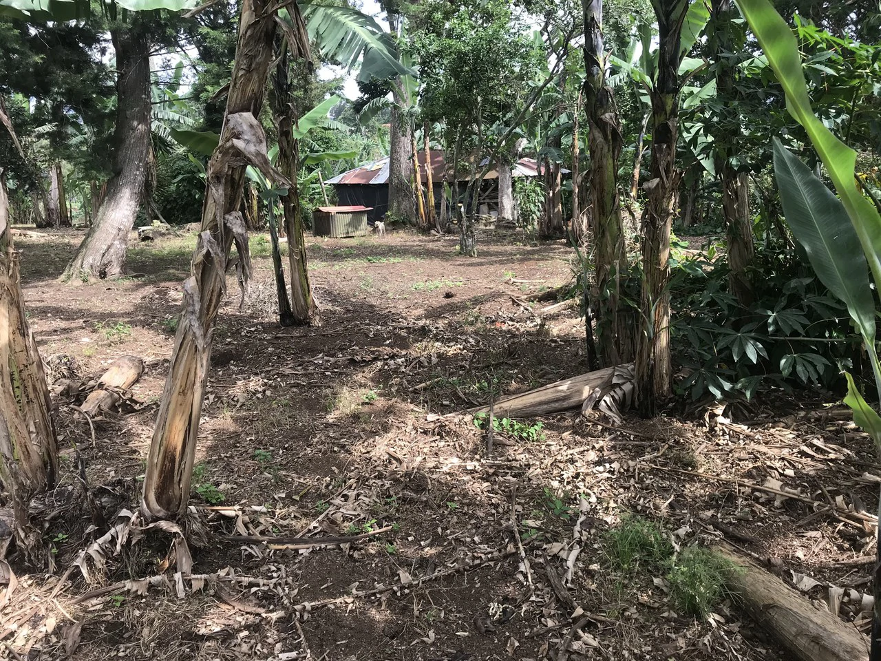 LOTES SAN ISIDRO HEREDIA: BEAUTIFUL LOTS IN SAN ISIDRO  HEREDIA - Gallery image 2