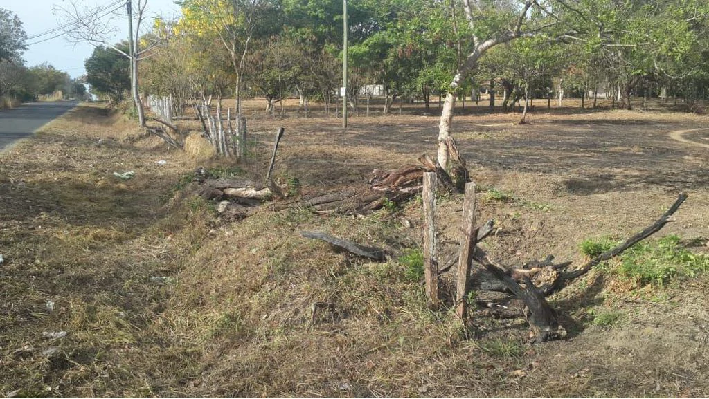 Building lots for sale in Cañas Dulces, flat land in a rural area near Liberia - Gallery image 5