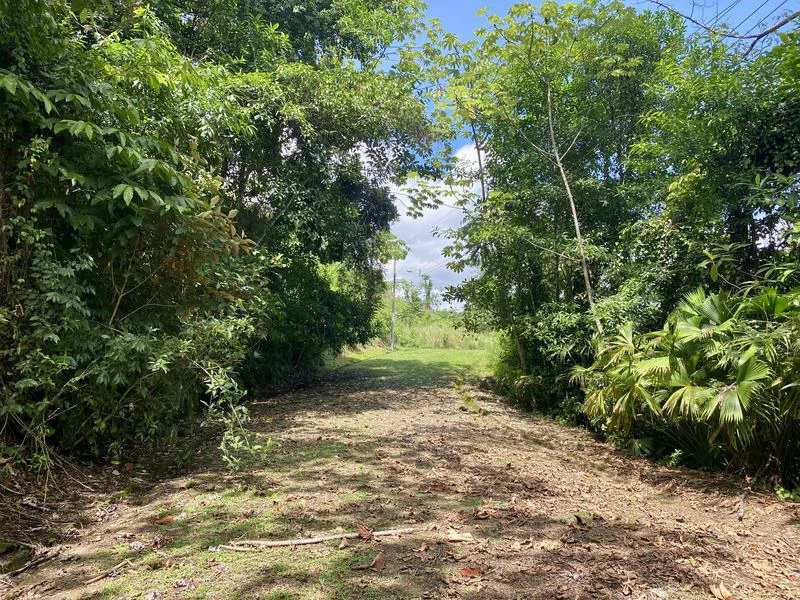 Exquisite Jungle property with Ocean View | Gated Community in Ojochal - Gallery image 4