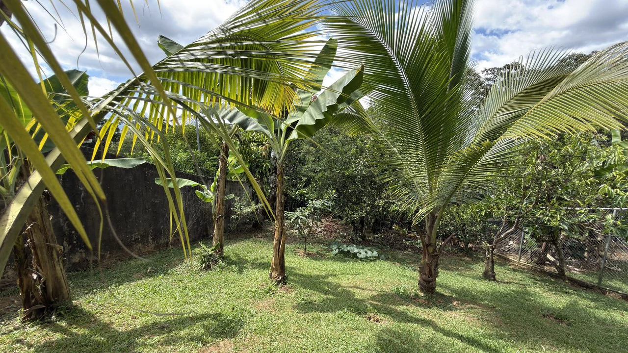 Countryside House For Sale in San Isidro del General - Gallery image 15