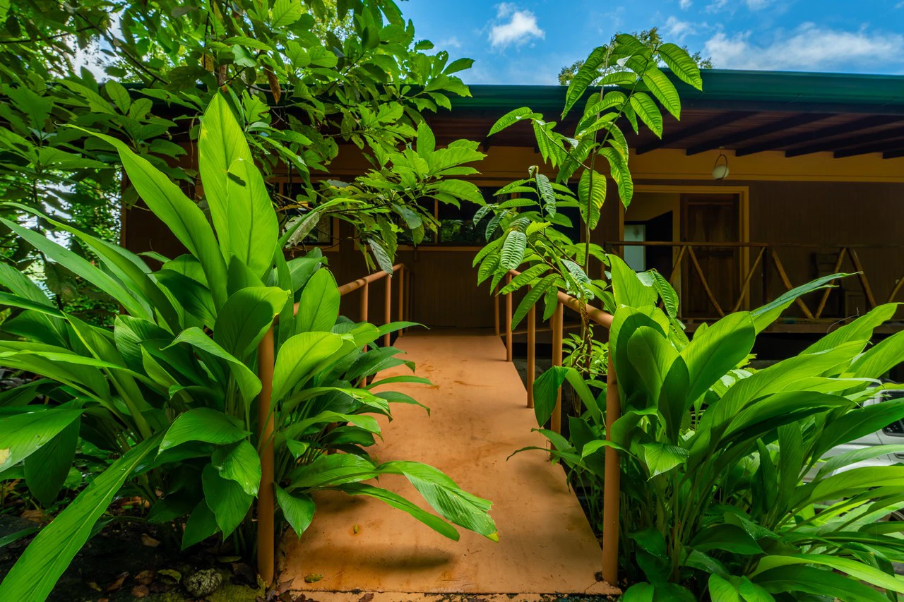 Prime 7.8 Acre Commercial Property with Restaurant for Sale in Costa Rica - Gallery image 8