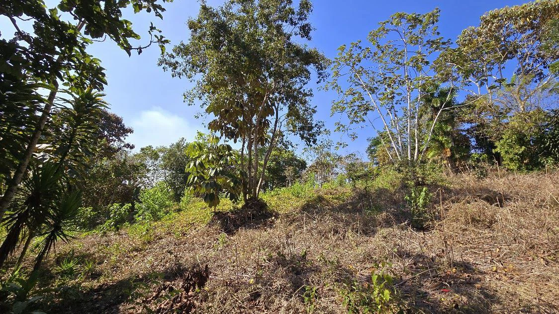Home Construction Site For Sale in La Ceniza - Gallery image 9