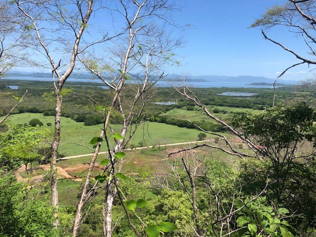 Amazing 50% discount for Huge ocean-view farm for sale surrounded by soft rolling hills and pristine nature - Gallery image 4