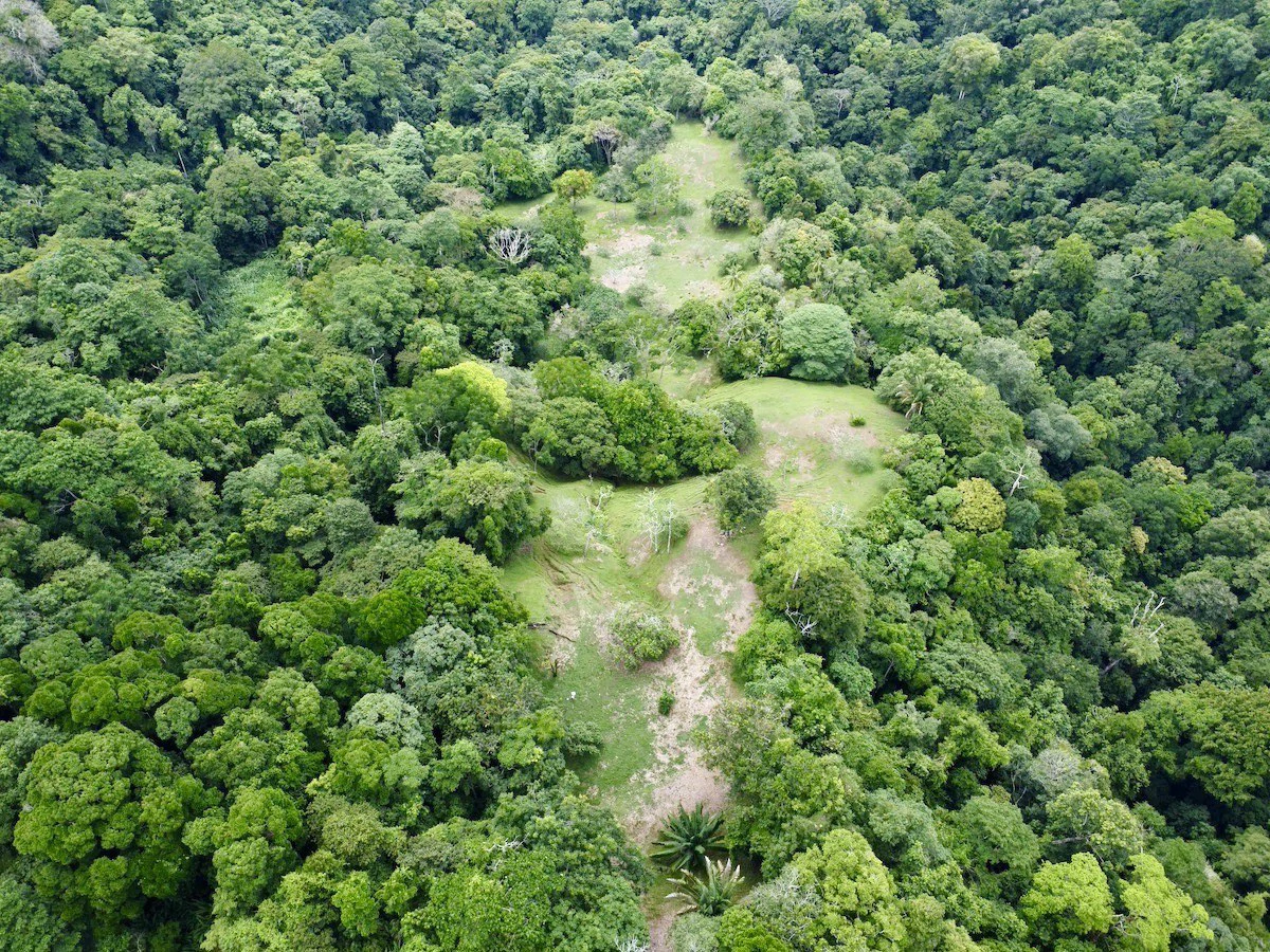 High Elevation Rainforest and Ocean View Property - Gallery image 2