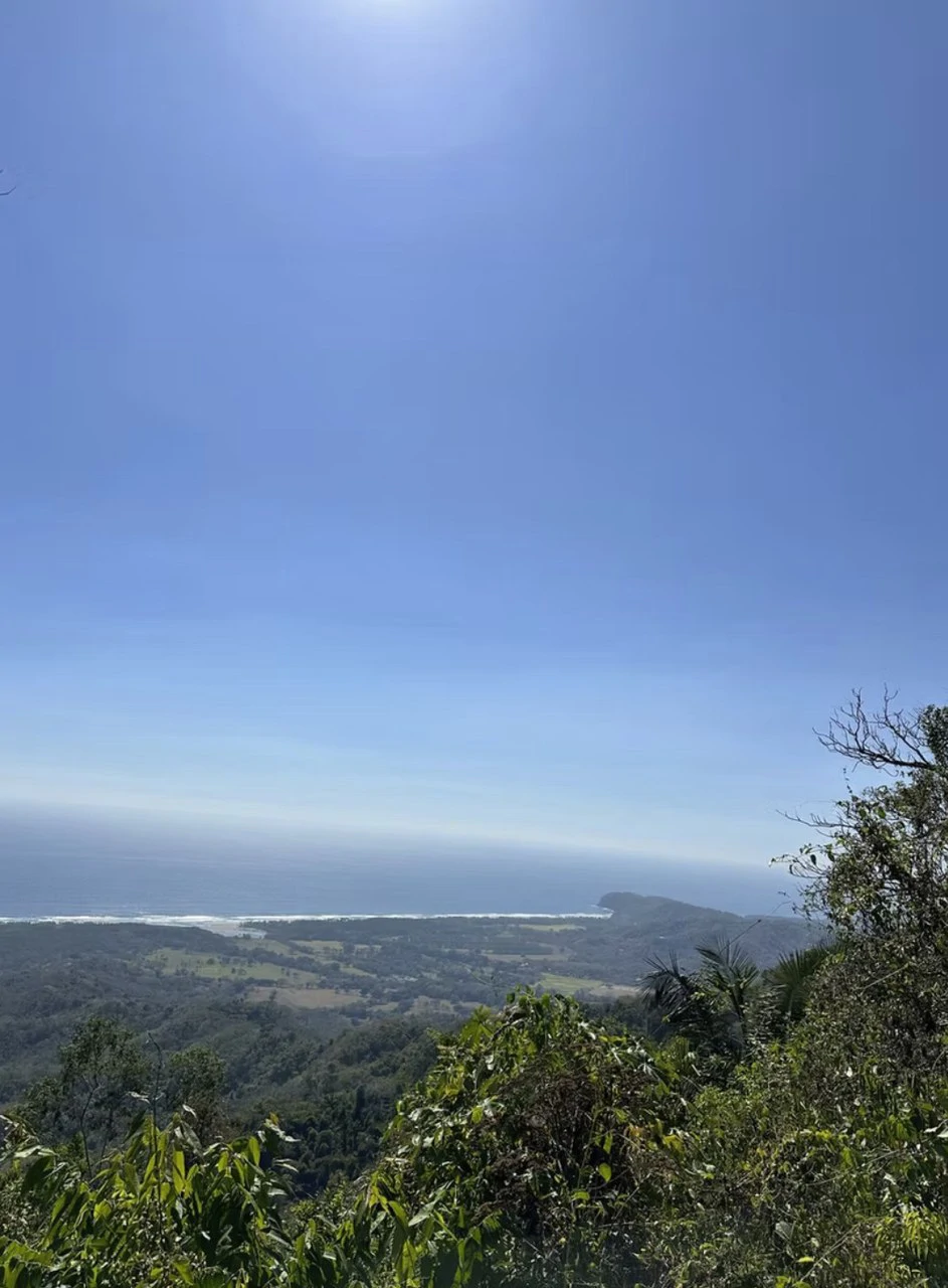 Ocean view farm for sale Costa Rica San Miguel Beach Costa de Oro - Gallery image 8