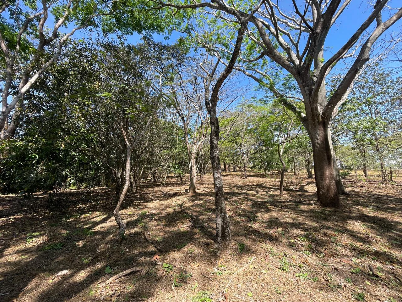 Ocean view property for sale Rodeo Ciudad Colon San Jose Costa Rica - Gallery image 19