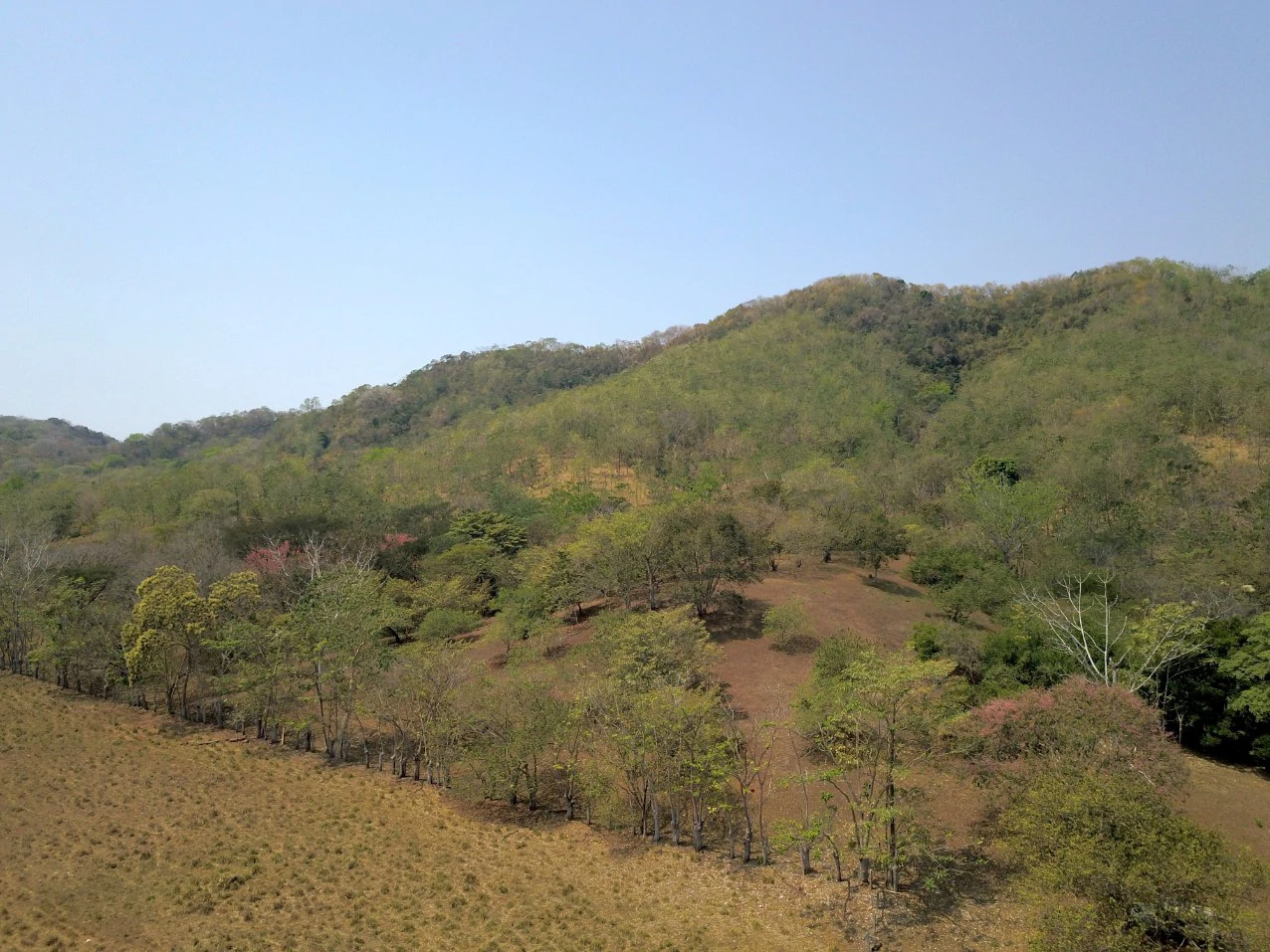Stunning Views in Nandayure Valley -Amazing land near Bejuco and Pilas beaches Path - Gallery image 12