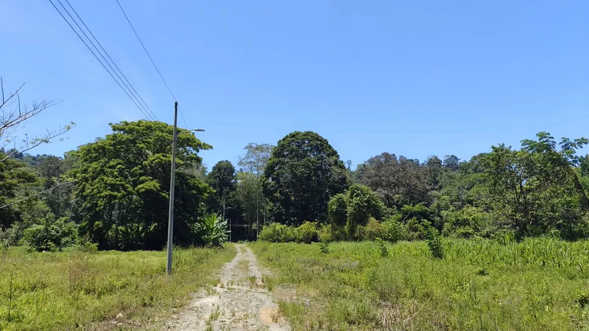 ID 924: El Cortijo: El Cortijo - Residential Lots for Sale in Hone Creek Near Puerto Viejo - Gallery image 8