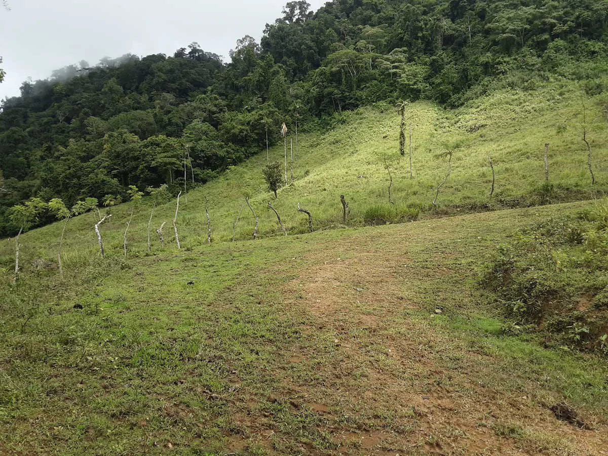 Finca Tesoro Escondido - The Jewel of Uvita - Gallery image 58