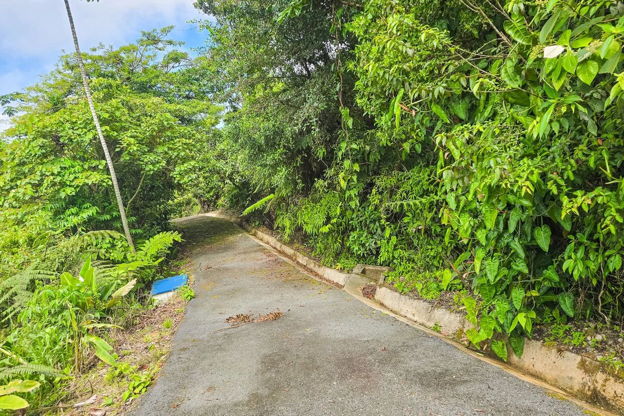 Near the Coast Home Construction Site For Sale in Ciudad Cortés - Gallery image 11