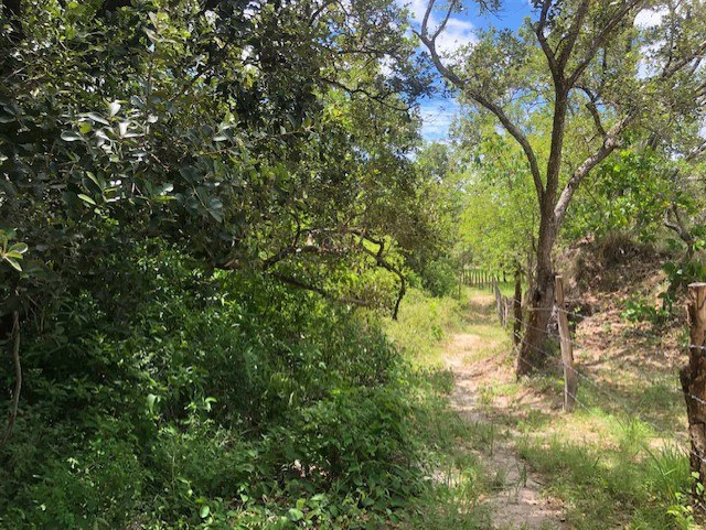 Mountain Farm for Sale in Liberia – Nature, Privacy, and High Investment Potential - Gallery image 29