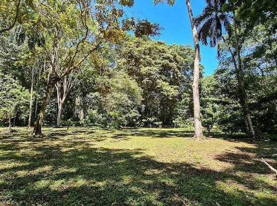 Cahuita Developer Lot