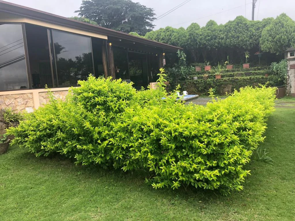 Beautiful Mountain Property for Sale in the Tourist Area of Miravalles, Currently Rented and Operating as a Restaurant – Excellent Investment Opportunity - Gallery image 5