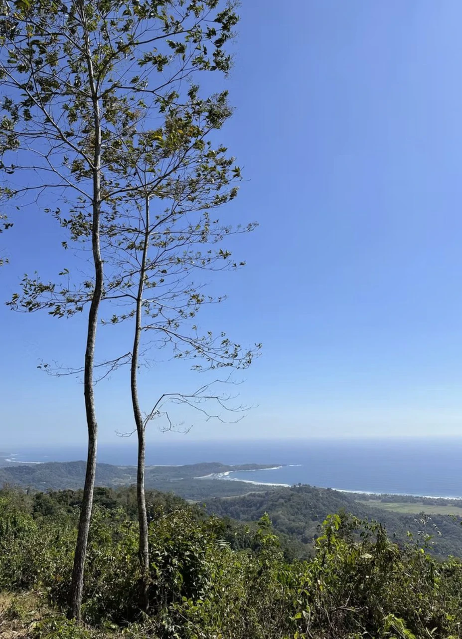 Ocean view farm for sale Costa Rica San Miguel Beach Costa de Oro - Gallery image 7