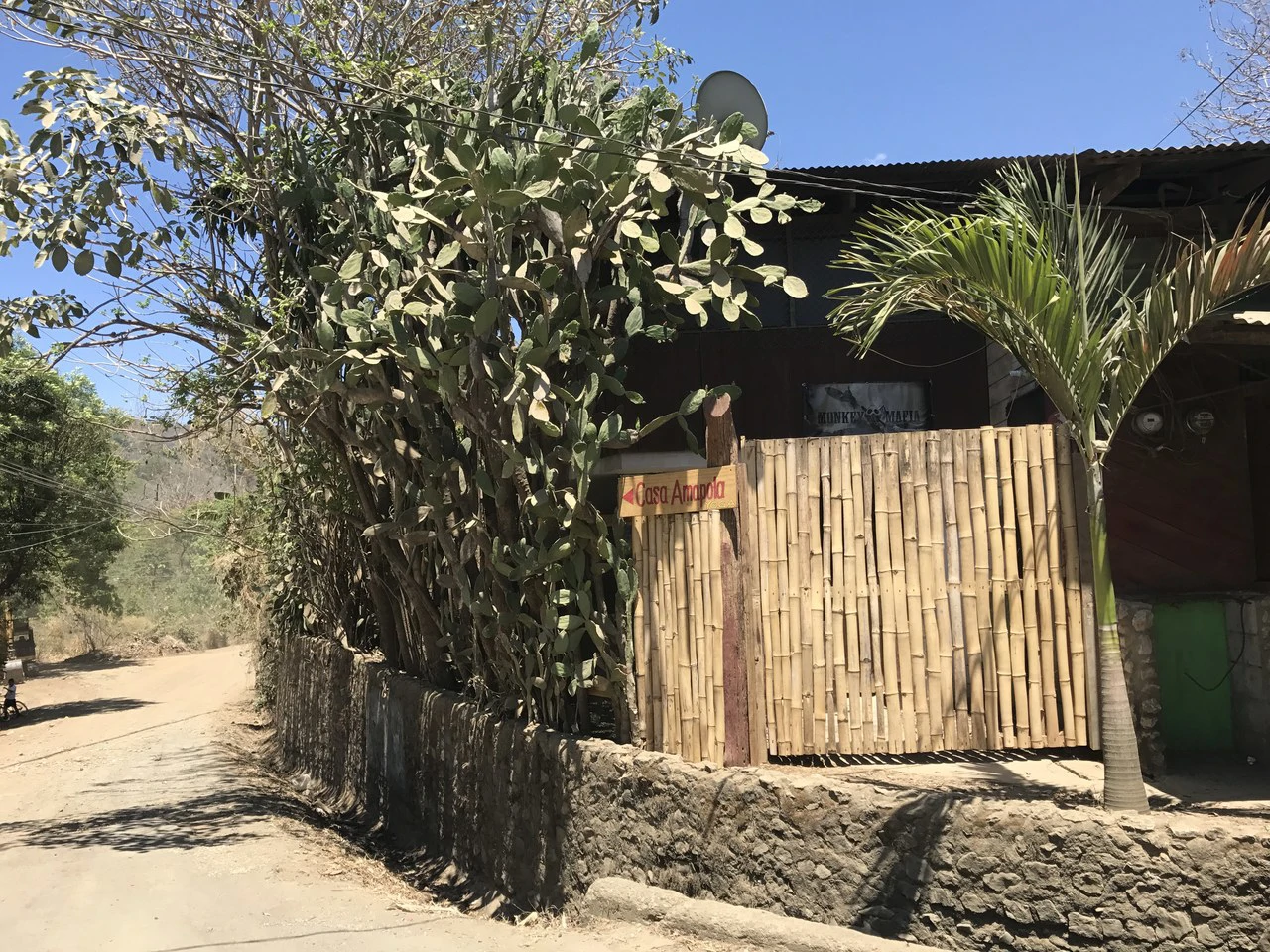 Great opportunity, commercial property in Nosara - Gallery image 2