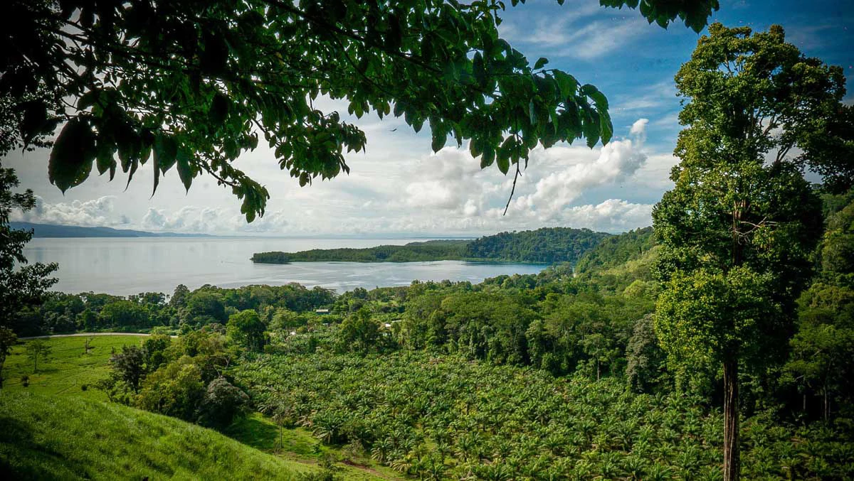Rincon Massive Acreage and Gulf of Dulce Views - Gallery image 8