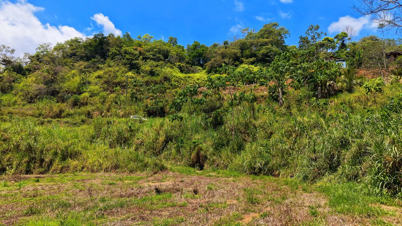 Countryside Home Construction Site For Sale in San Pedro - Gallery image 4