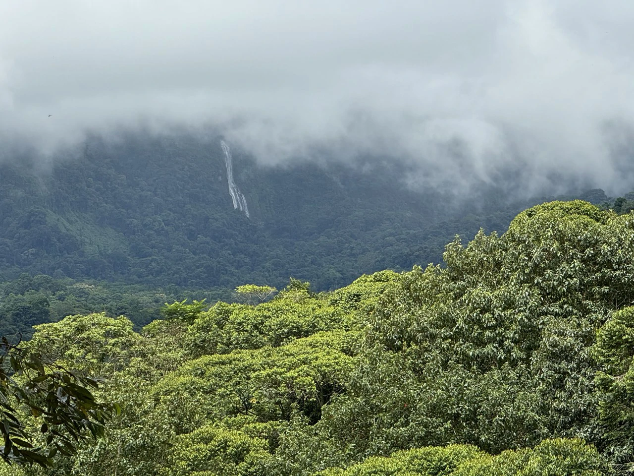 Diamante Waterfall View Land in Dominical 2.9 Acres - Gallery image 12