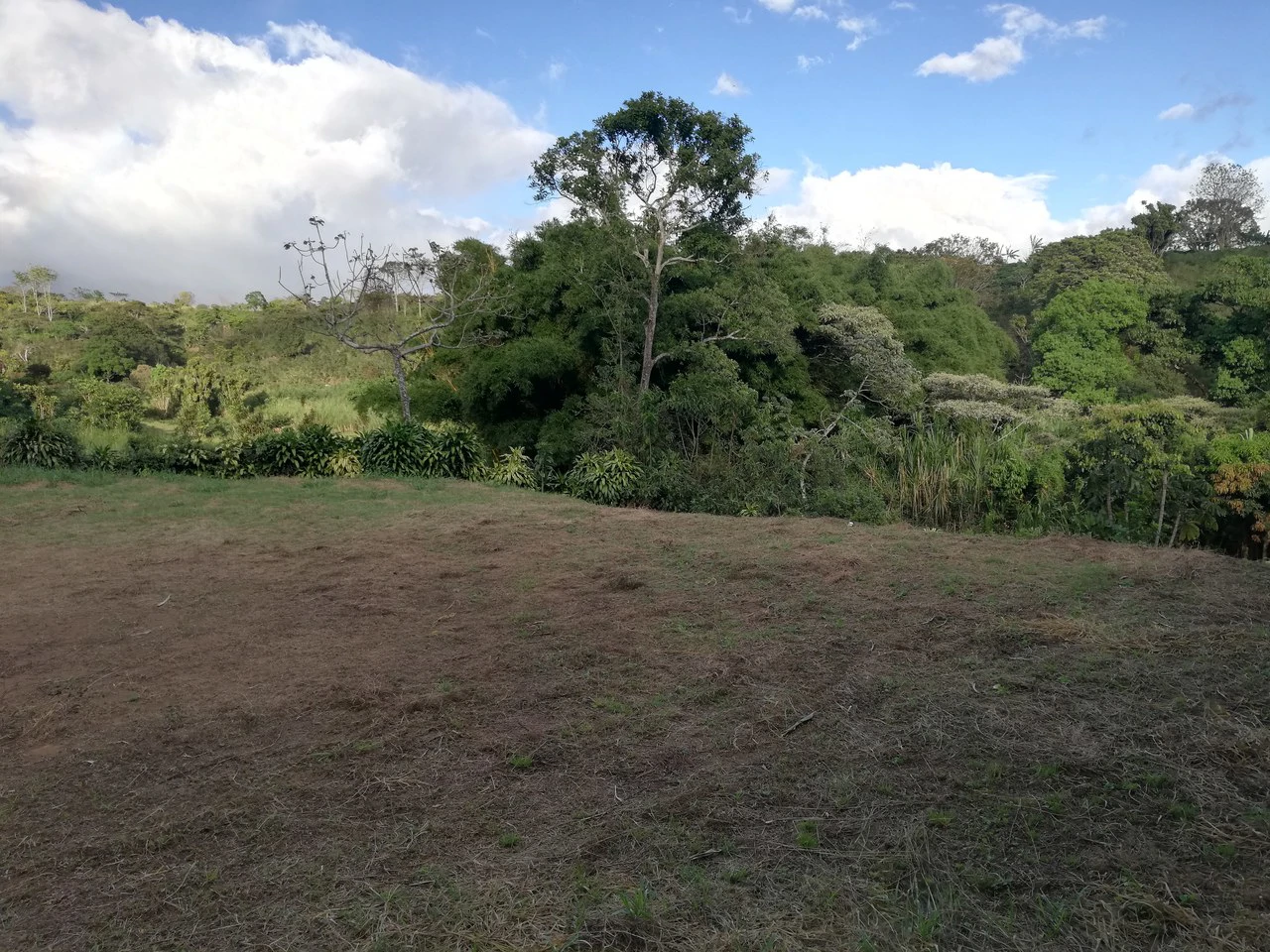 Nature Lot: REDUCED! 1,013 m2 lot off the main road - Gallery image 5