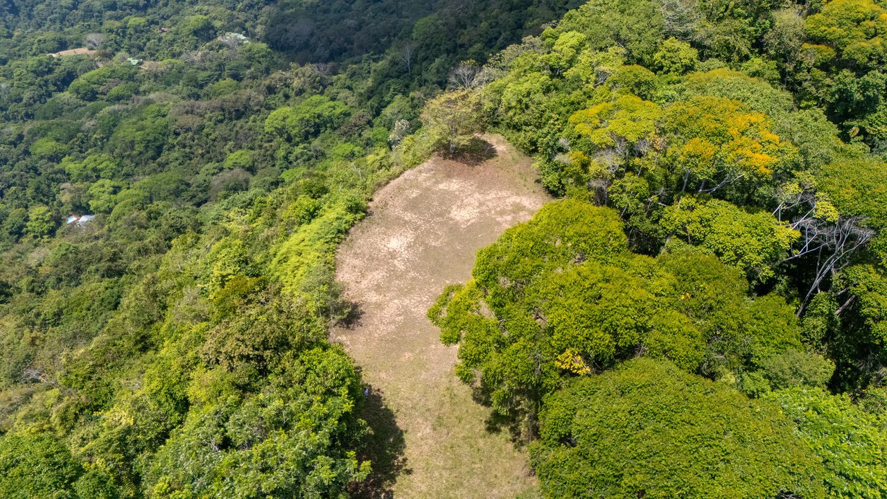136 Acres of Oceanview Land with Multiple Building Sites | A Rare Development Opportunity in Costa Rica - Gallery image 6