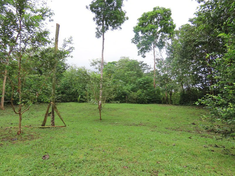 Land For Sale in Dos Brazos, Puerto Jimenez, Ideal For Home Surrounded by Nature - Gallery image 9