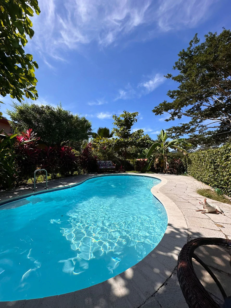 ID 4172:: The Beach House - Gallery image 3