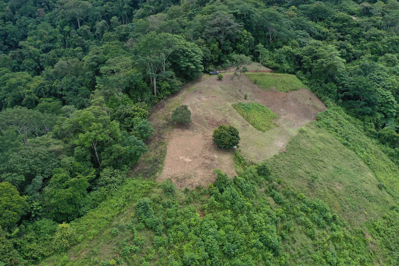 137 Acre Ocean View Farm with Riverfront in Southern Costa Rica - Gallery image 7