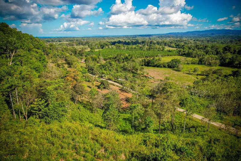 Ocean View & Primary forest 55-ha Rincon de Osa - Gallery image 29
