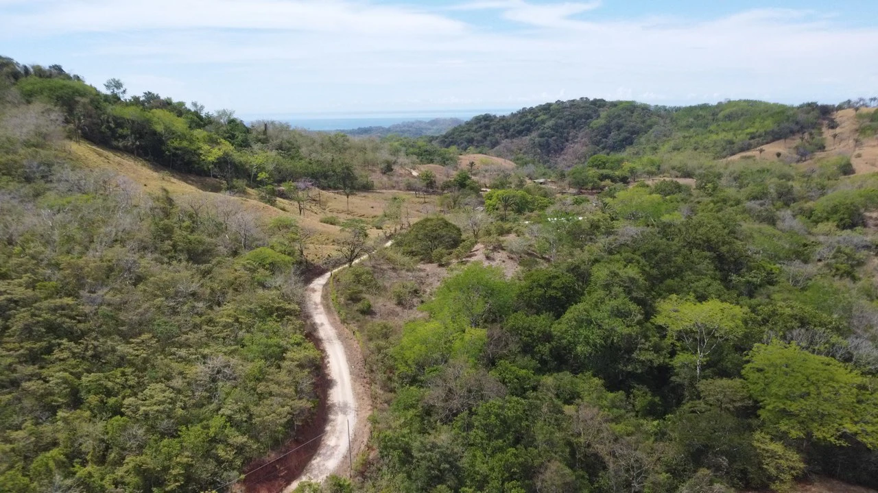 37-Hectare Ocean View Development Property Near Sámara, Buena Vista & Barrigona - photo 11