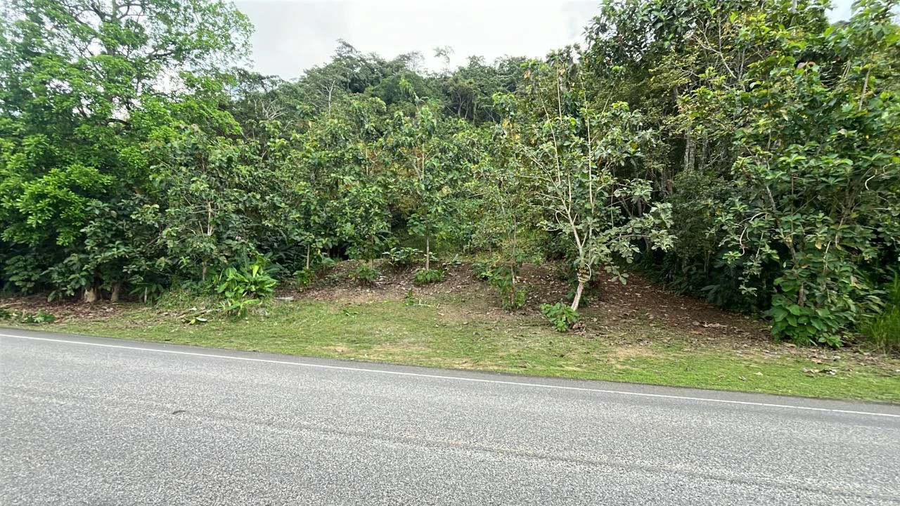Near the Coast Home Construction Site For Sale in Ciudad Cortés - Gallery image 2