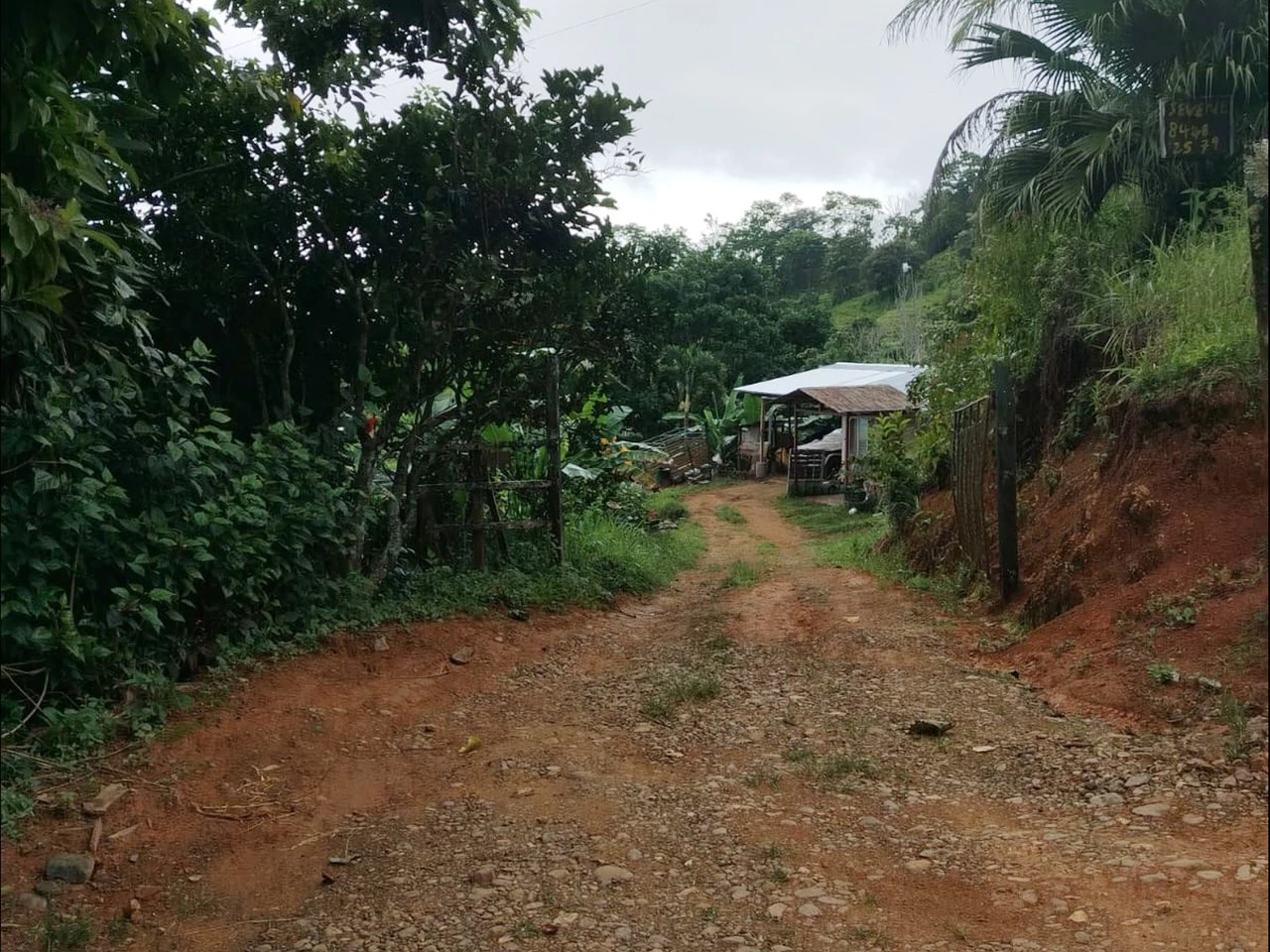 Beautiful Farm in La Guaria with Endless Opportunities! - Gallery image 13