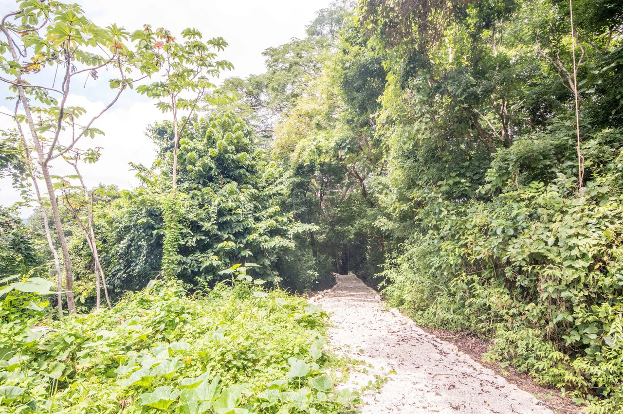 Finca del Cusuco: Hills of Buena Vista - Gallery image 2
