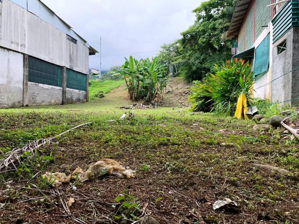 Highway Front Lot in Uvita with Commercial Potential - Gallery image 7