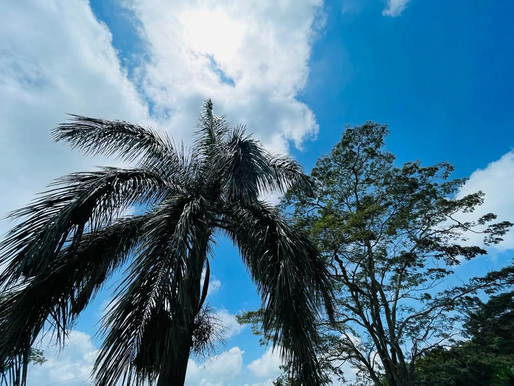 Lot for sale in Residential Vista Mar with views of the sea and mountains between San Mateo Orotina Alajuela Costa Rica - Gallery image 21