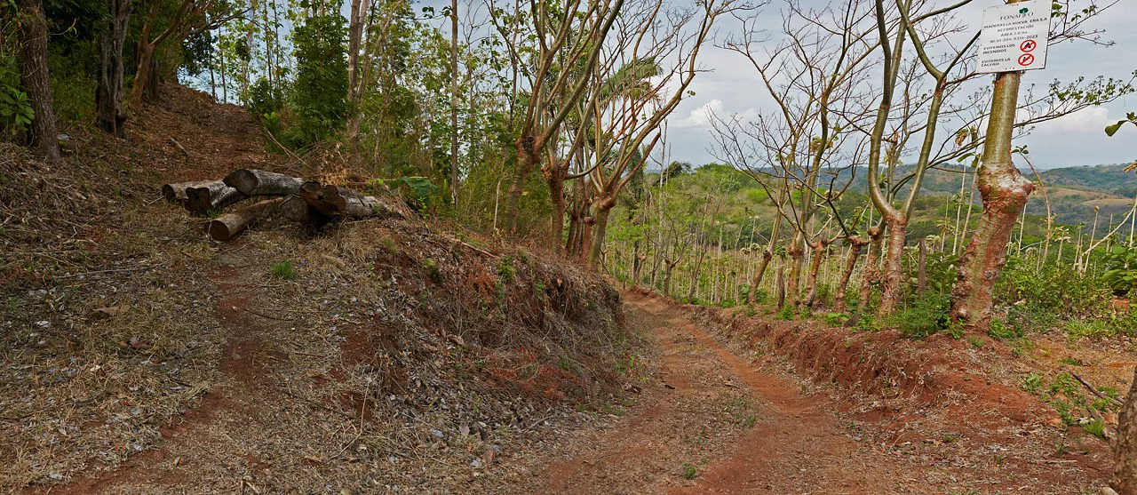 Finca Gomez: 214 Hectares | Ocean Views, Rivers & Development Potential – Guanacaste - Gallery image 8