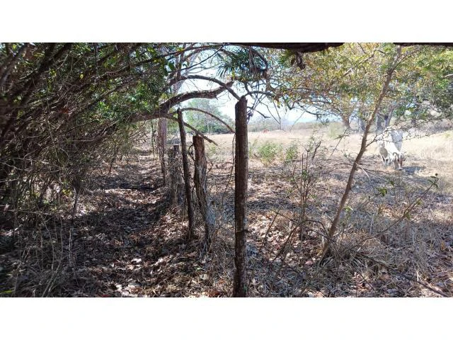 3 Flat topography properties for sale near Playas del Coco, Great building potential in the province of Guanacaste