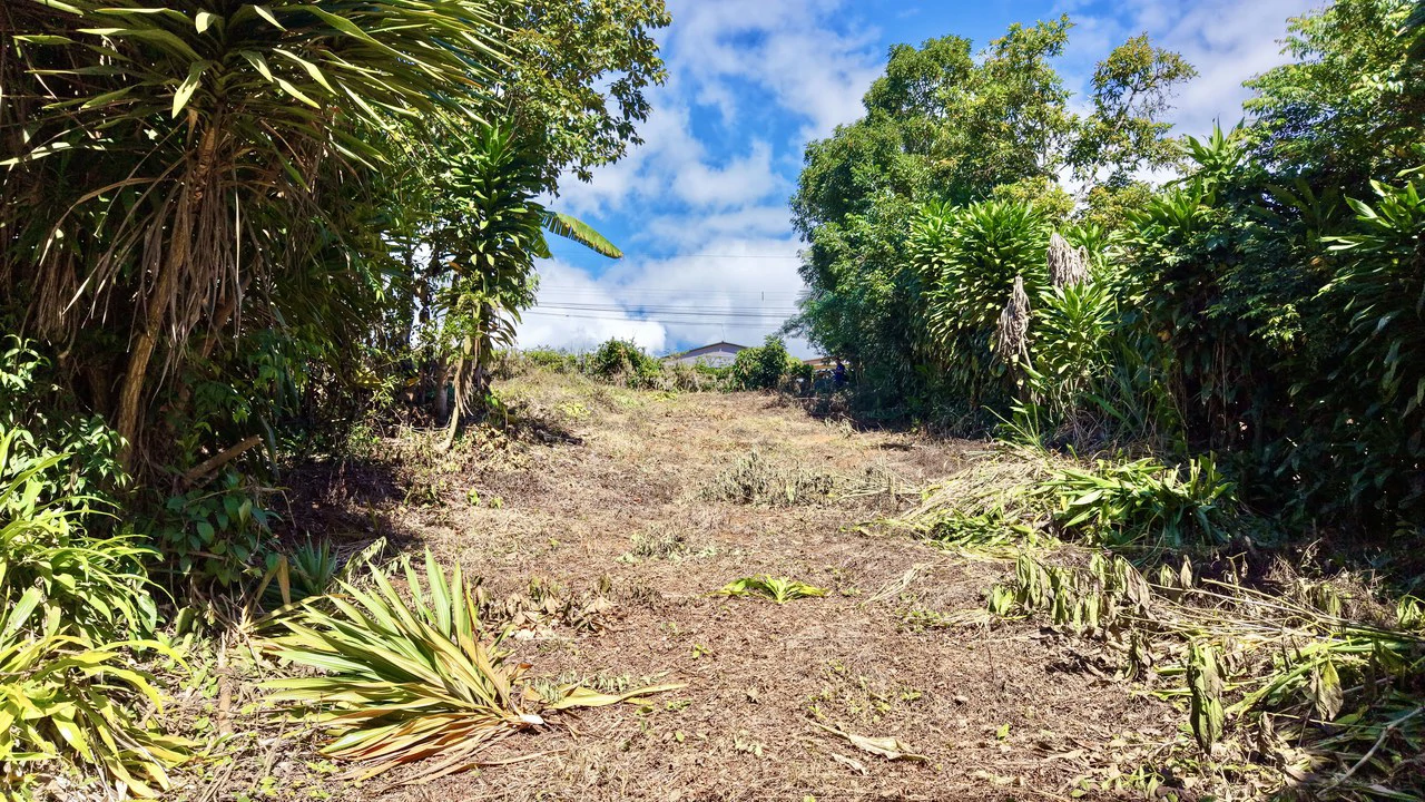 Home Construction Site For Sale in Pavones - Gallery image 18