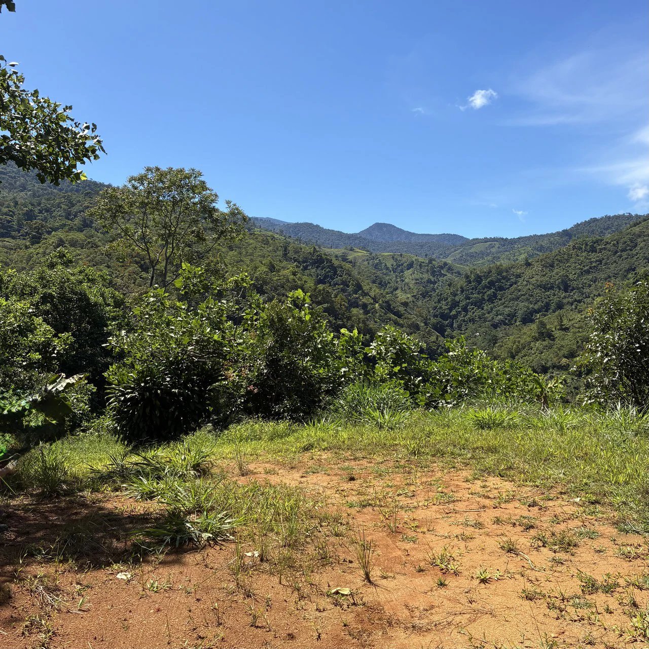 Breathtaking Mountain View Estate in Chimirol, Pérez Zeledón — 1.4 Hectares of Privacy, Nature & Potential: Mountain Home Construction Site For Sale in Chimirol - Gallery image 6