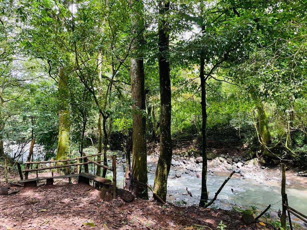 Farm for sale Puriscal Close to Universidad para la Paz Costa Rica - Gallery image 11
