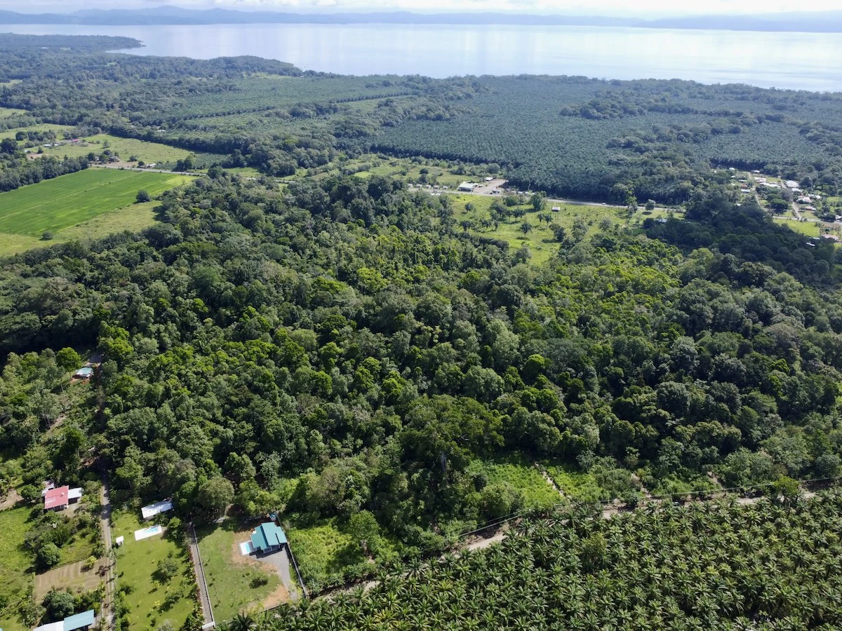 Large Building Lots in Osa Peninsula