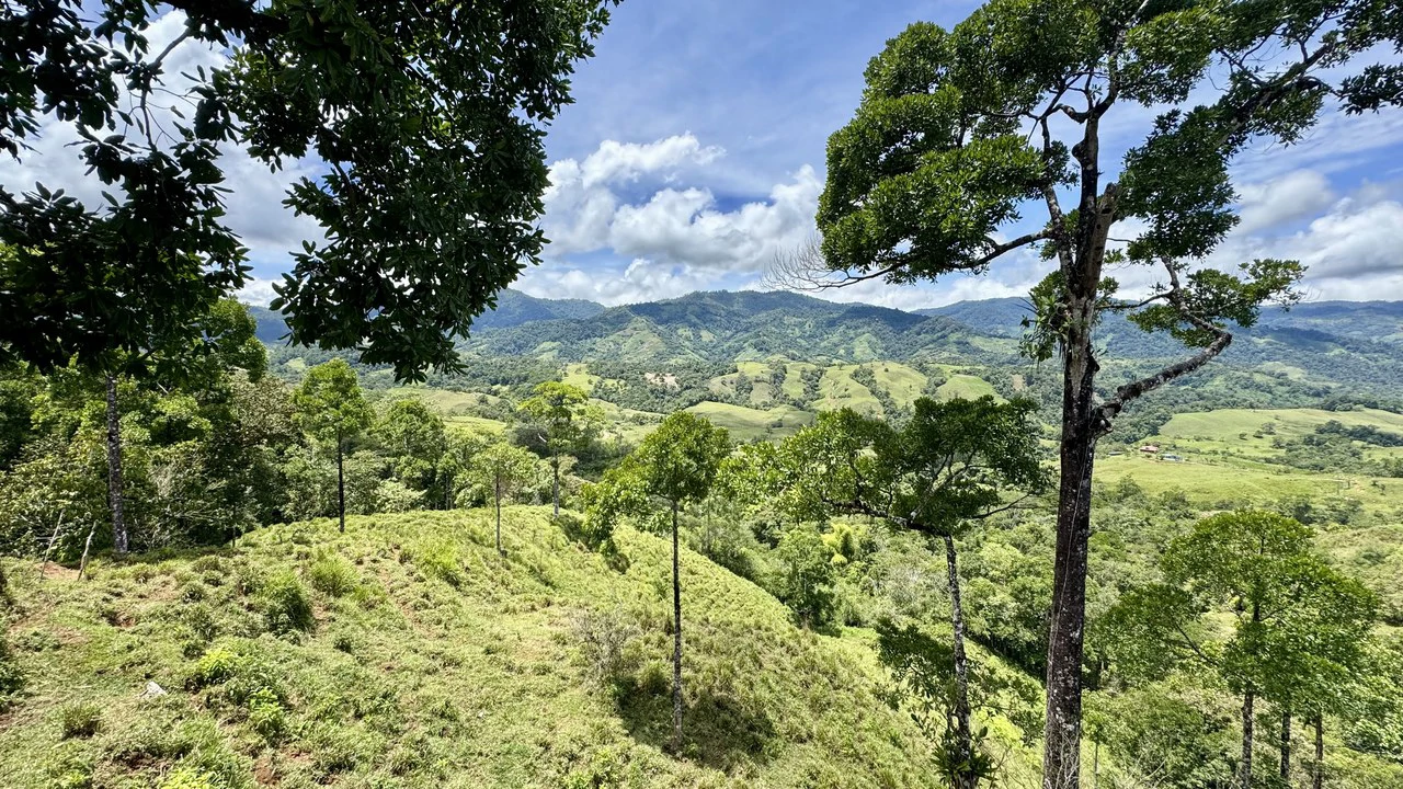 Spring, Waterfalls and more!  Farm in San Vito Limoncito! - Gallery image 18
