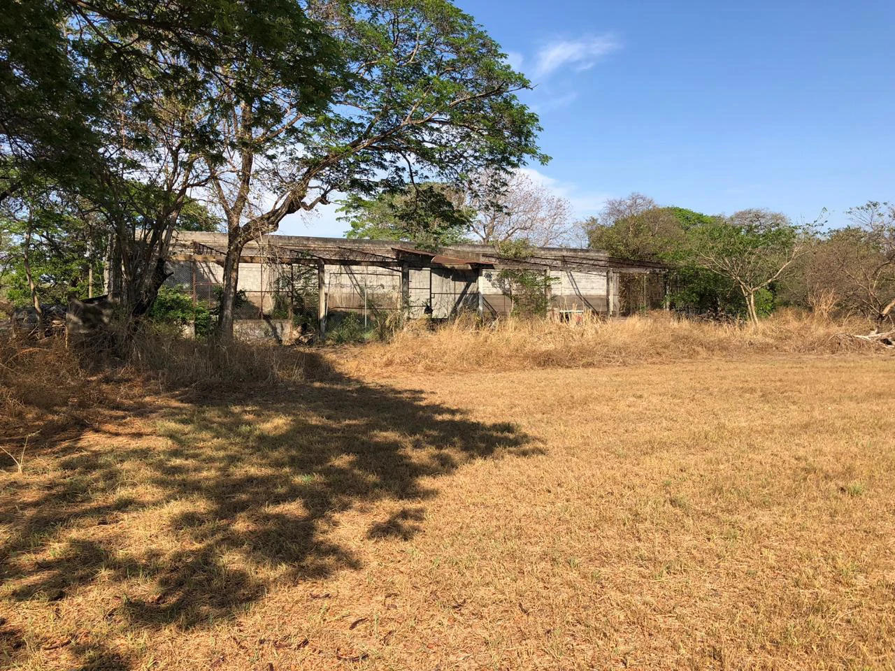Large property with warehouses in Filadelfia, Carrillo - Gallery image 16